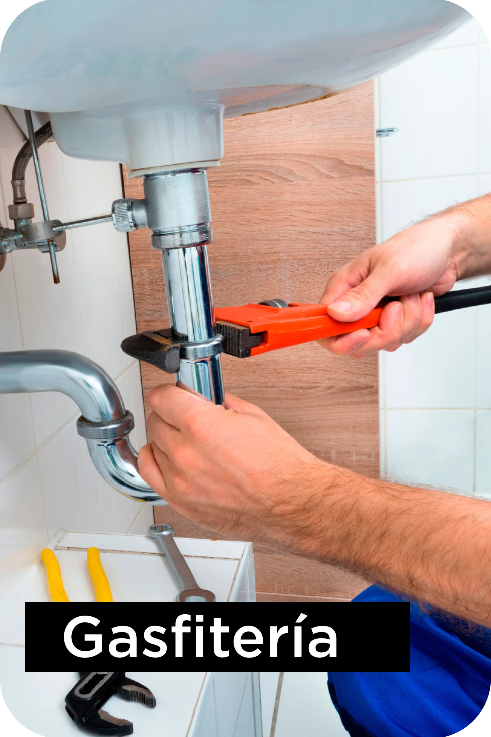 111111 Divi WooCommerce Layout