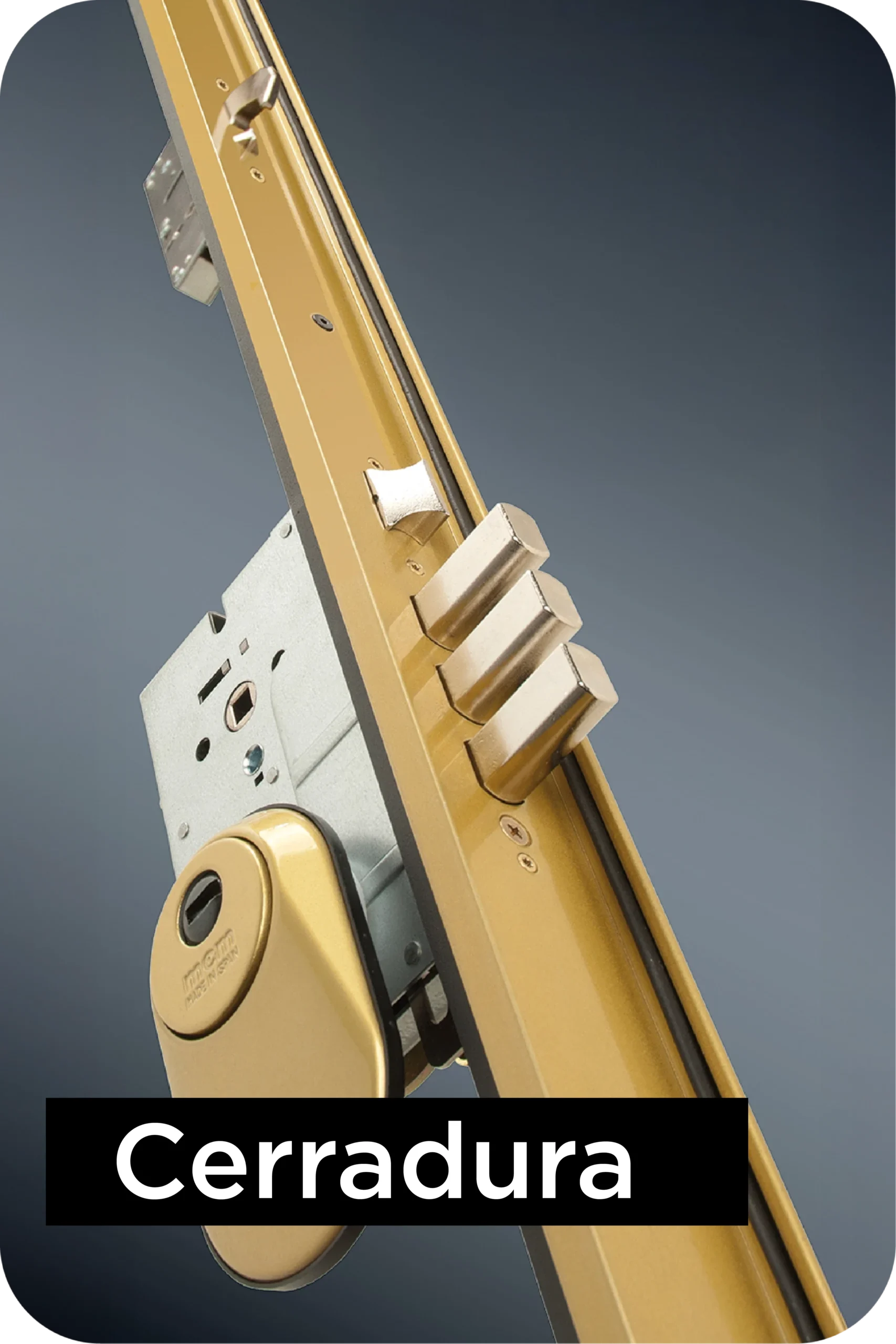 BYS_Mesa de trabajo 1 copia 4 Divi WooCommerce Layout